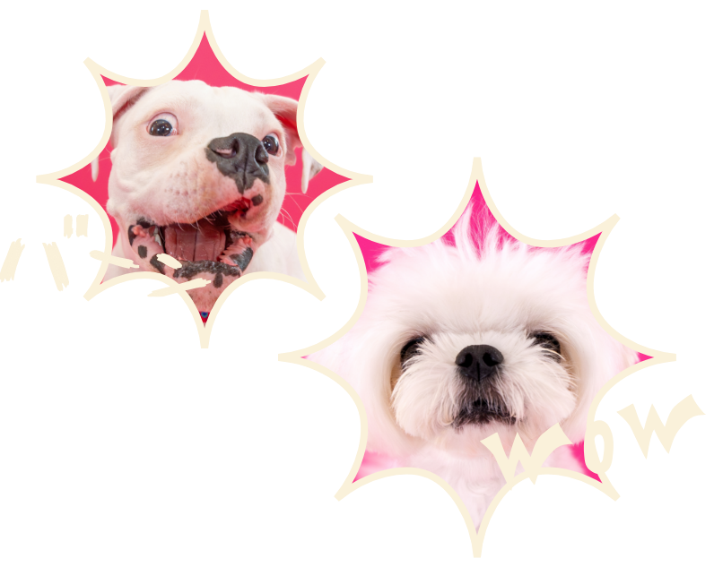 バブリードッグ