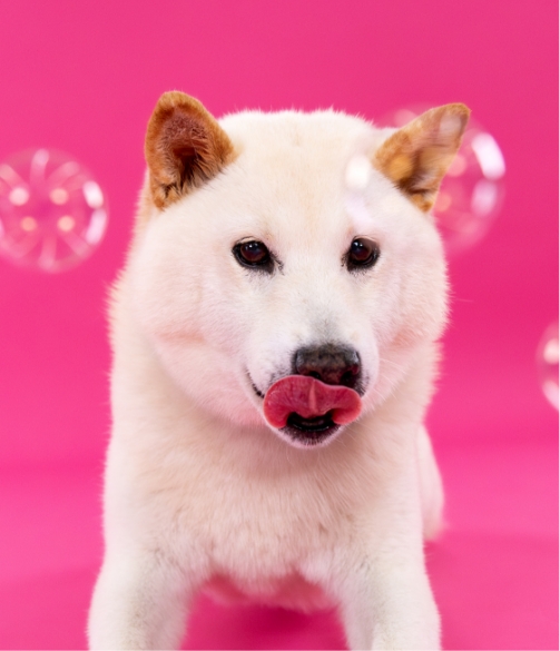 ギャラリー写真1