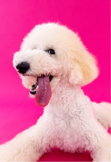 ギャラリー写真7