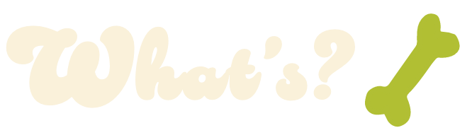 タイトル