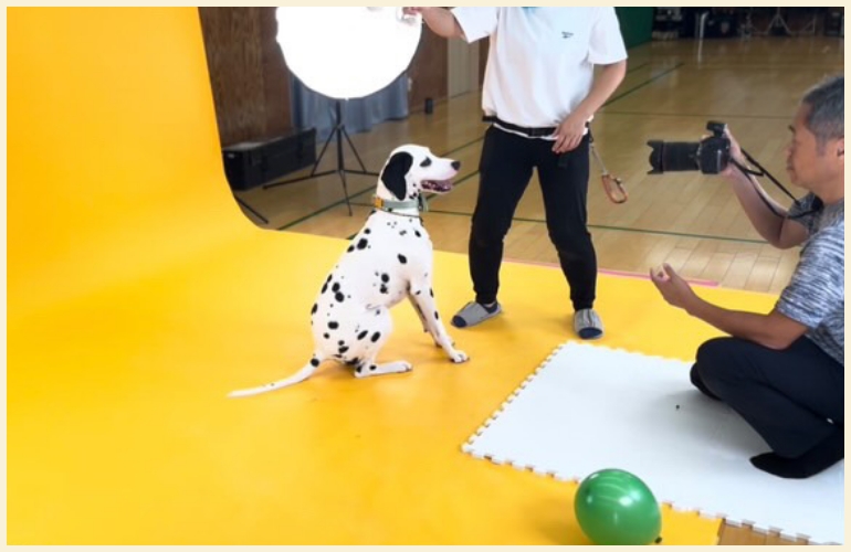 お客様の声イメージ2